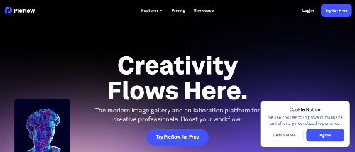 best instagram tools